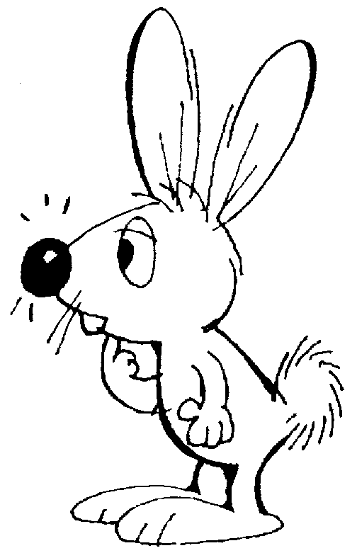 bunny.gif